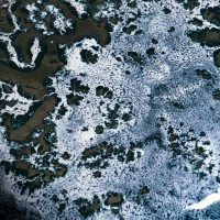 <a href=https://www.galeriegosserez.com/gosserez/artistes/donnersberg-emma.html>Emma Donnersberg</a> - Cèpes - Frozen Blue 